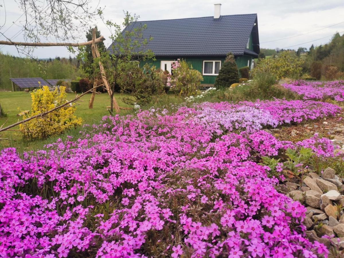 Zielony Zakatek Ciezkowice Exteriör bild