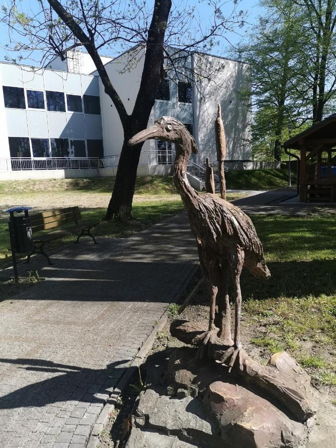 Zielony Zakatek Ciezkowice Exteriör bild