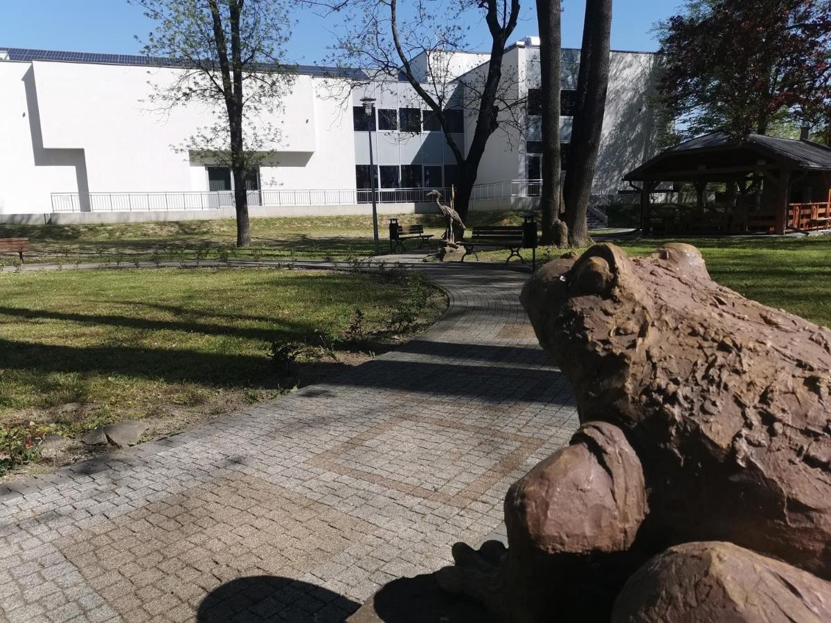 Zielony Zakatek Ciezkowice Exteriör bild