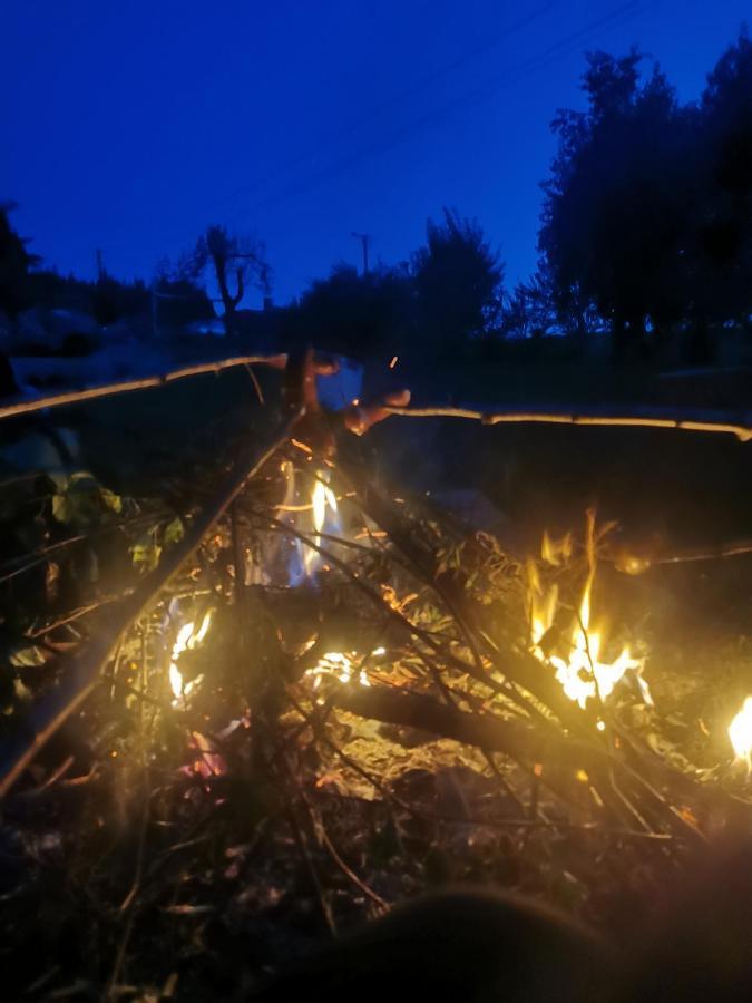 Zielony Zakatek Ciezkowice Exteriör bild