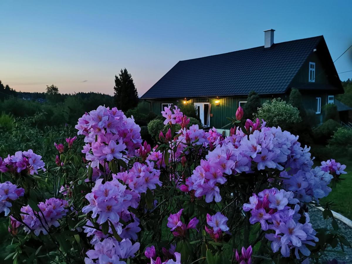 Zielony Zakatek Ciezkowice Exteriör bild